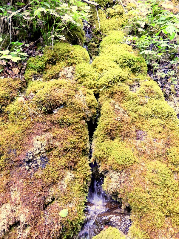 Königsgraben hoch (13)