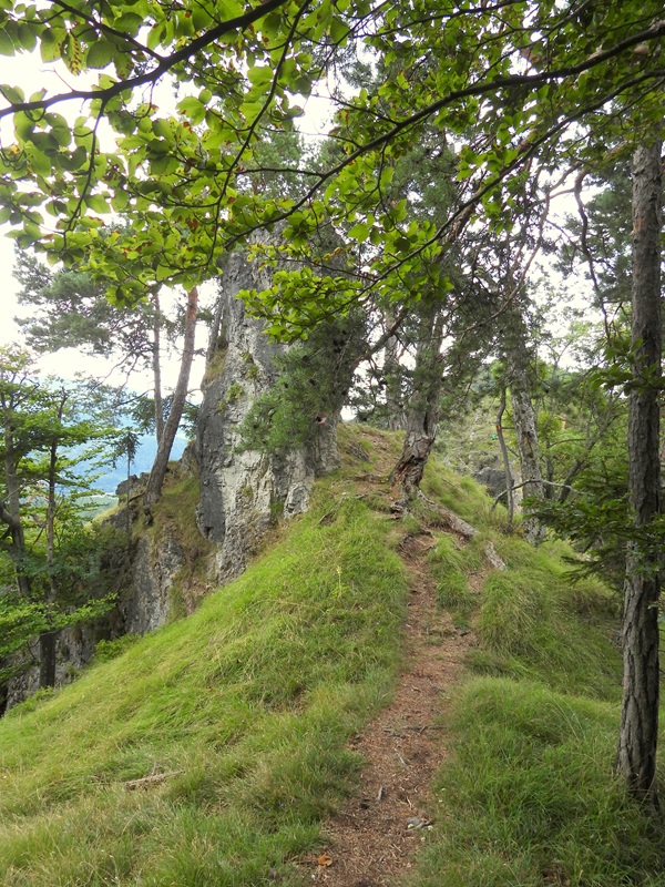 Königsgraben hoch (15)