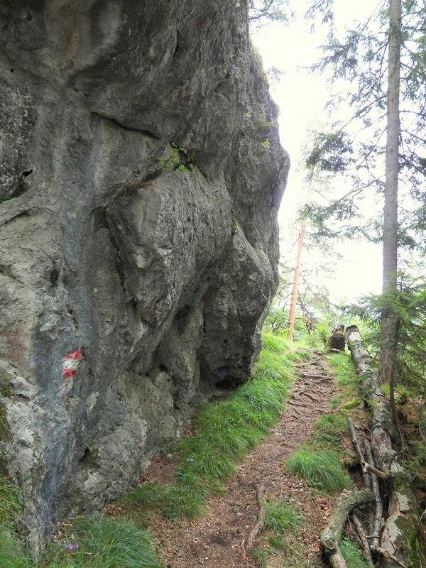 Königsgraben hoch (17)