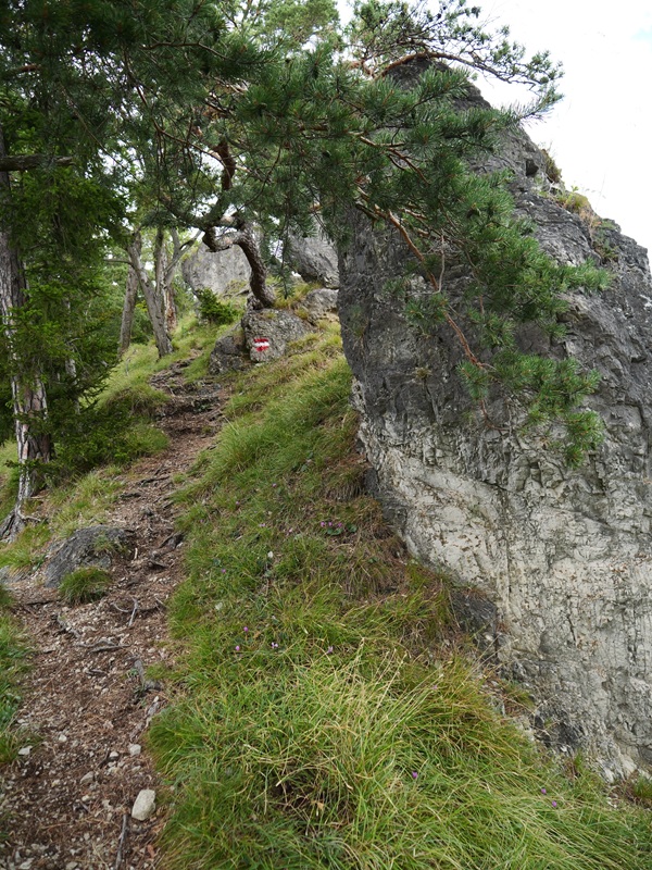 Königsgraben hoch (2)