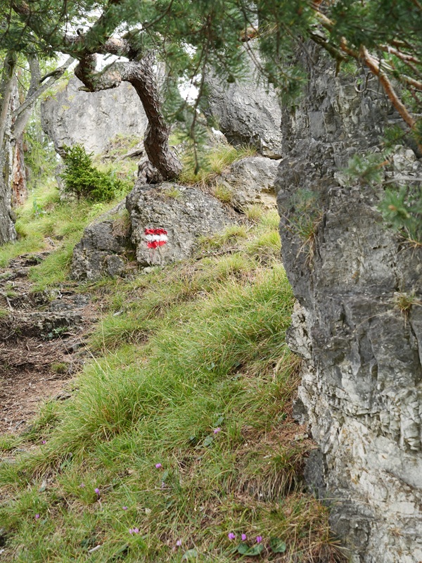 Königsgraben hoch (3)