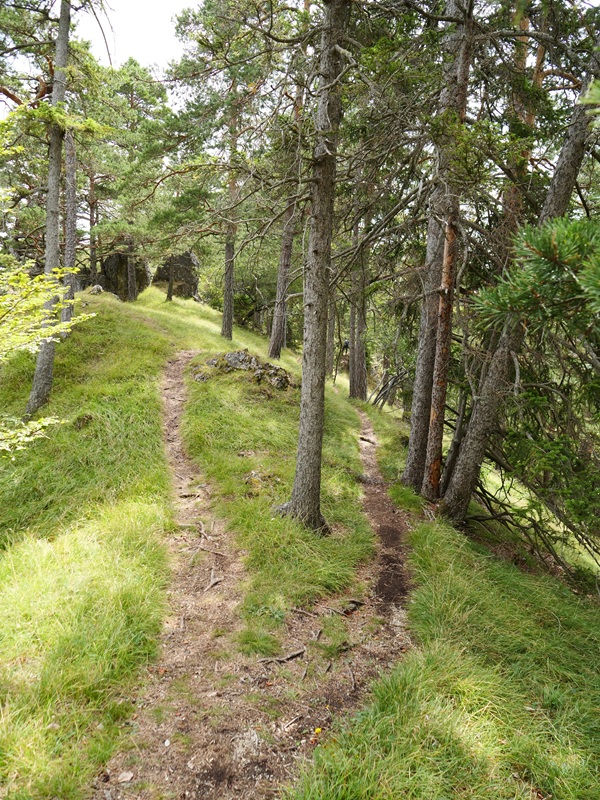 Königsgraben hoch (4)