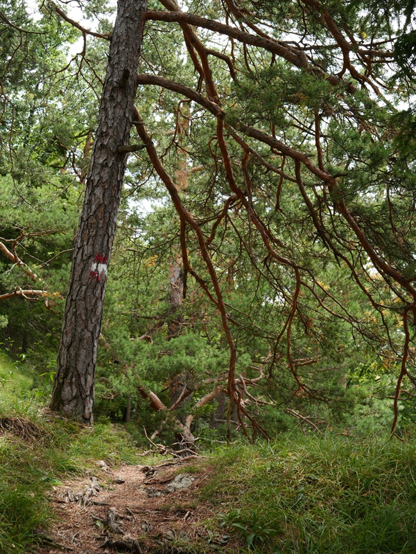 Königsgraben hoch (5)