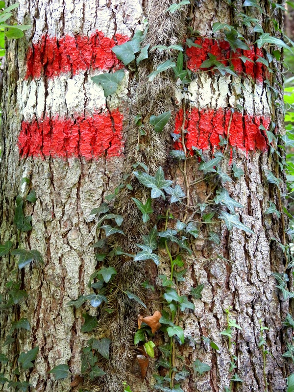Königsgraben hoch (9)