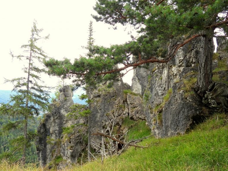 Königsgraben quer (10)