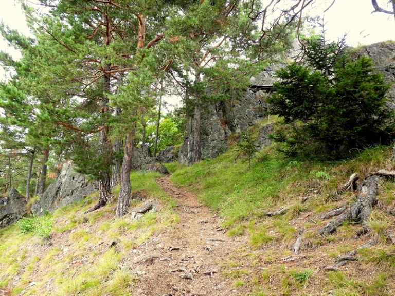 Königsgraben quer (11)