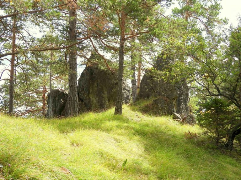 Königsgraben quer (13)