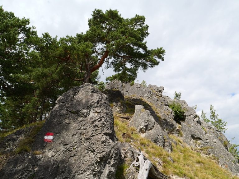 Königsgraben quer (18)