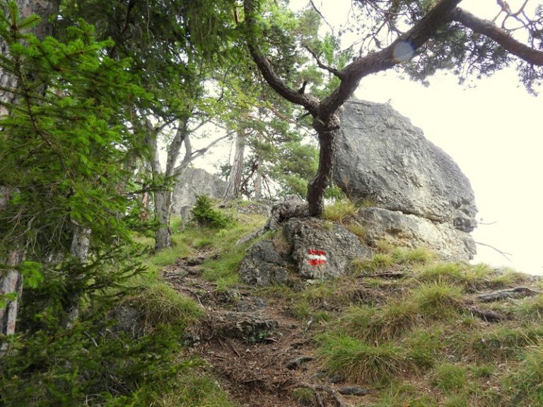 Königsgraben quer (8)