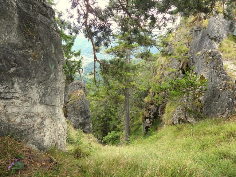 Königsgraben quer (9)