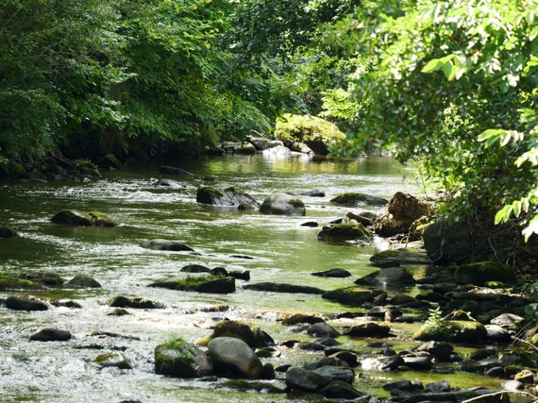 Schwanberg quer (10)