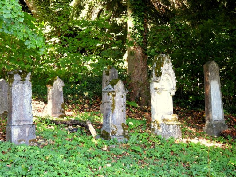 Schwanberg quer (13)