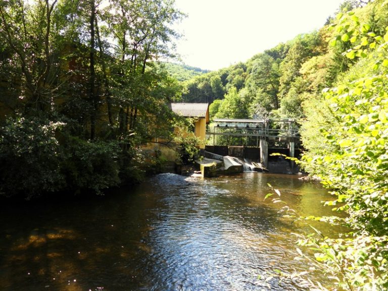 Schwanberg quer (2)