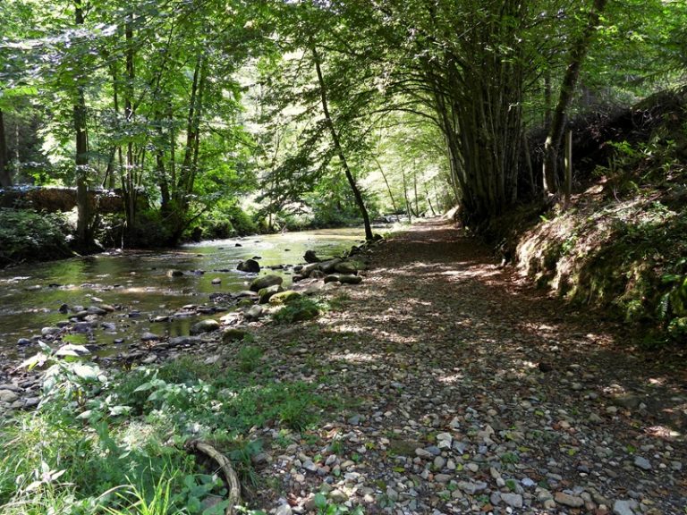 Schwanberg quer (32)