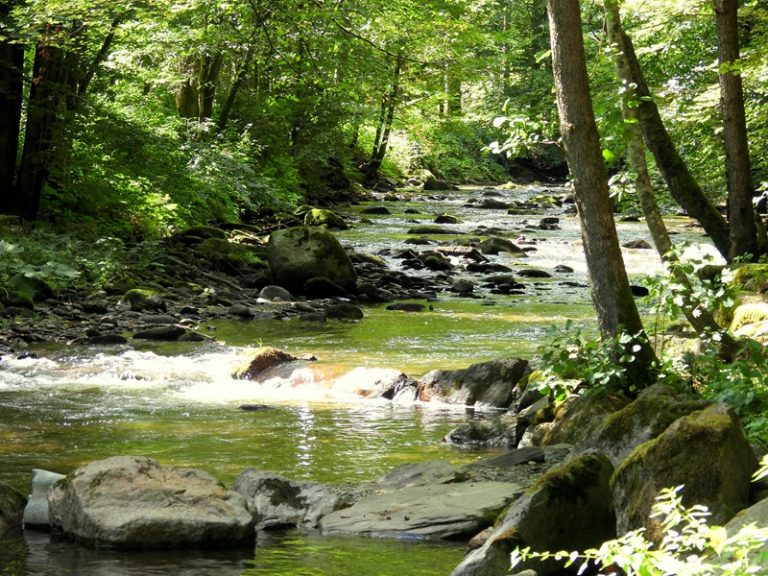 Schwanberg quer (33)