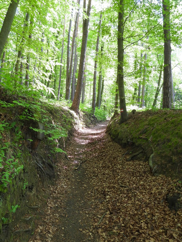 Strassengel hoch (2)