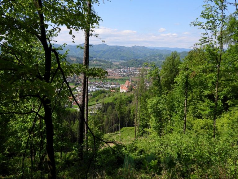 Straßengel quer (10)