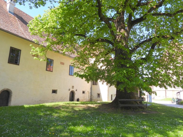 Straßengel quer (5)