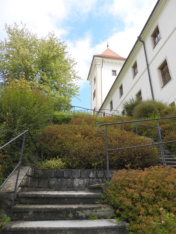 DSCN7933