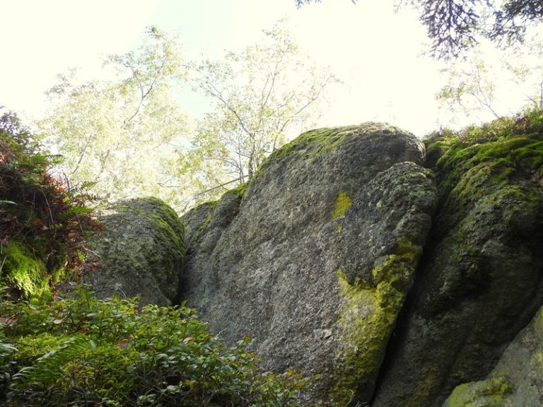 DSCN8046