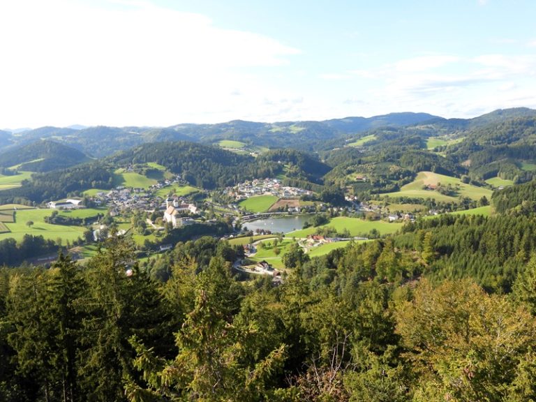 DSCN8171