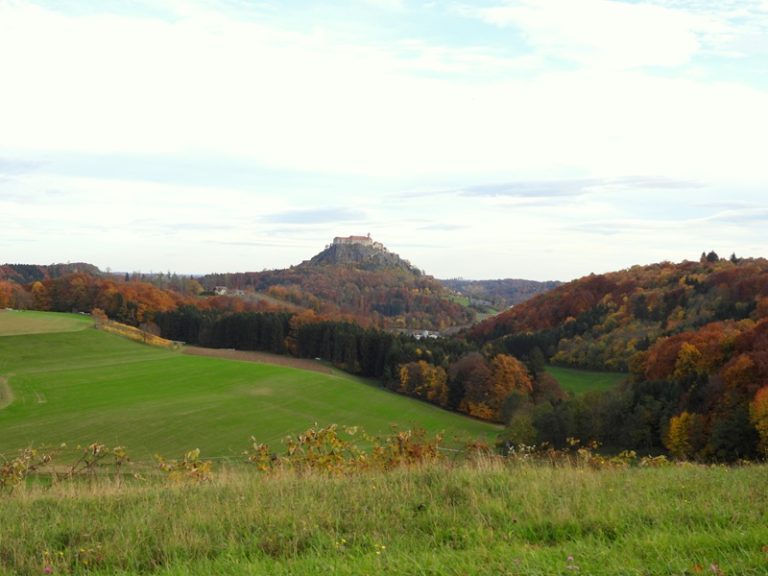 DSCN9783