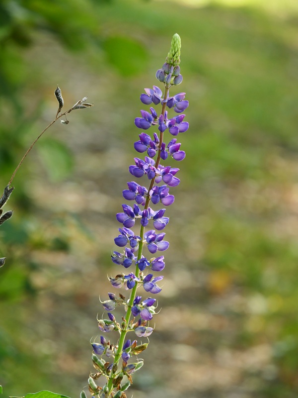 P1145606