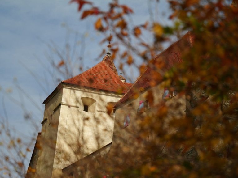 P1167539