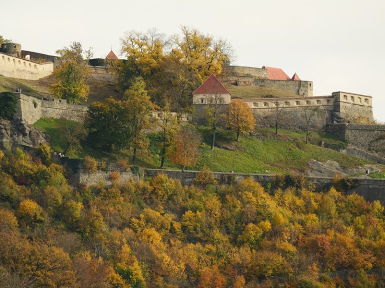 P1167574
