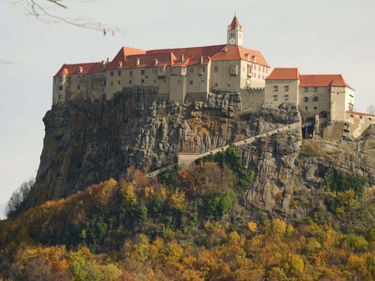 P1167581