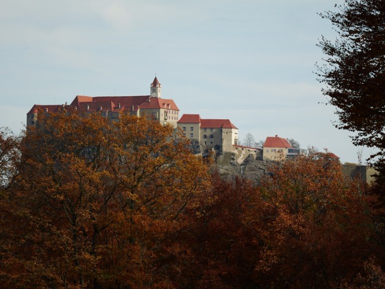 P1167594