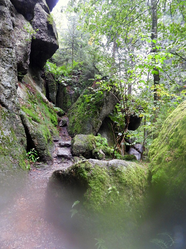 Stillensteinklamm hoch (12)