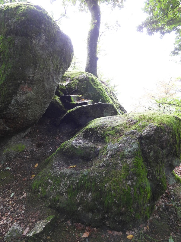 Stillensteinklamm hoch (13)