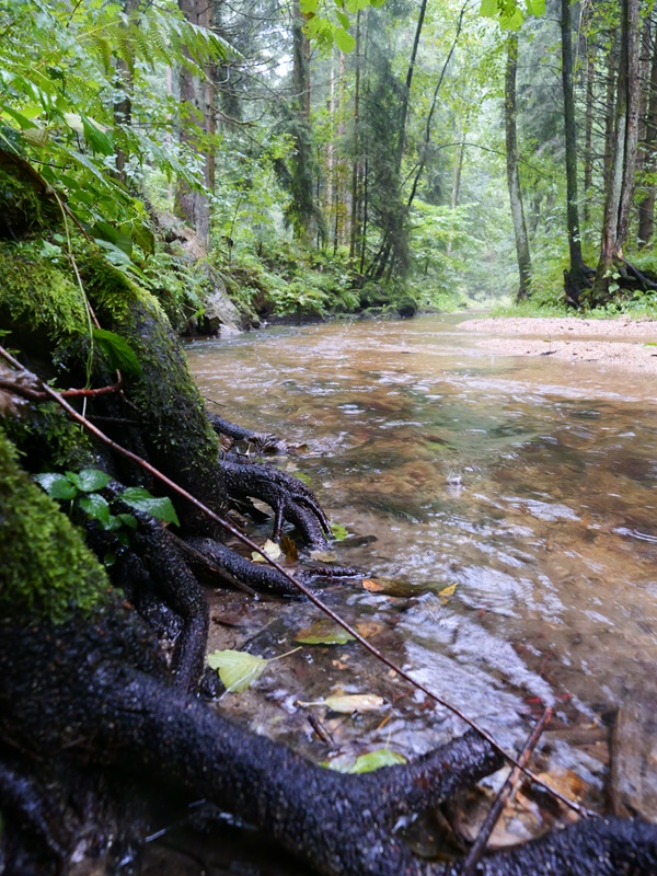 Stillensteinklamm hoch (7)
