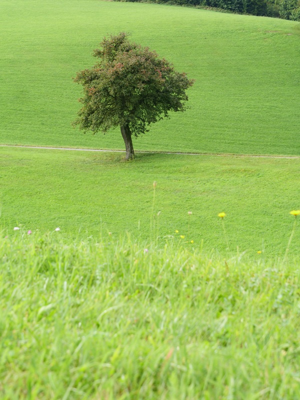 Stillensteinklamm hoch (9)