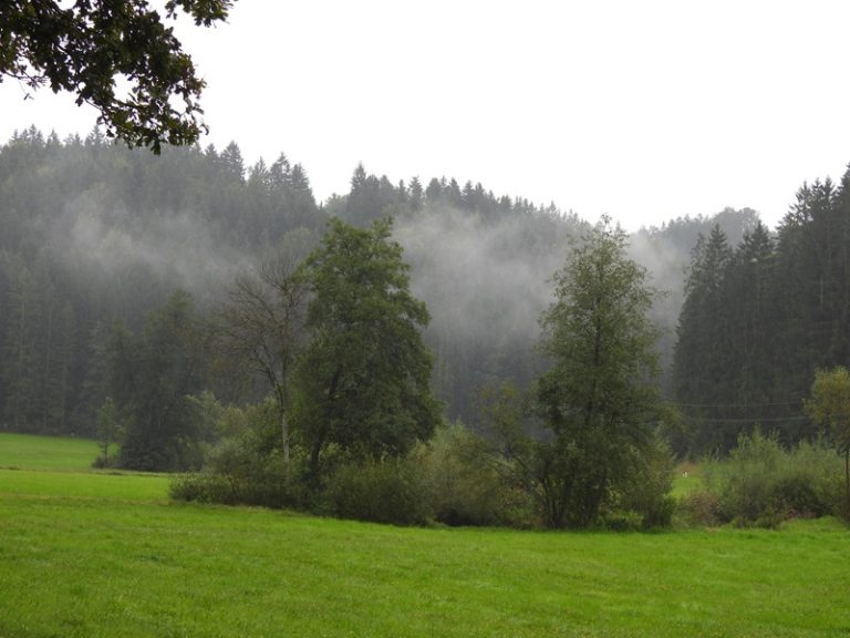 Stillensteinklamm quer (17)
