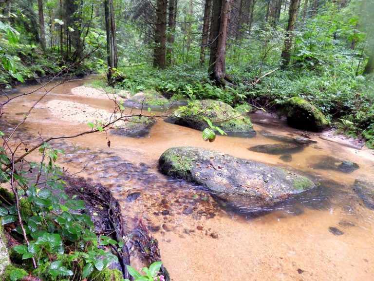 Stillensteinklamm quer (18)