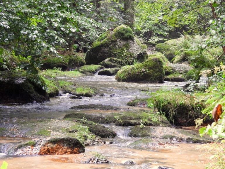 Stillensteinklamm quer (19)