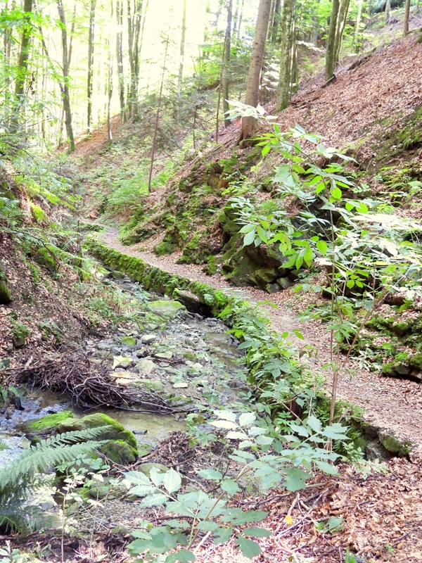 Friedberg hoch (7)