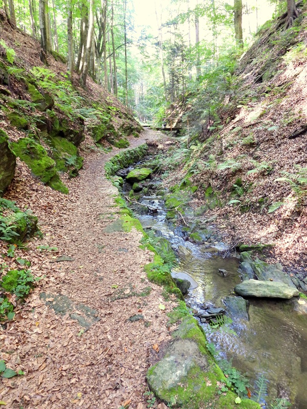 Friedberg hoch (8)