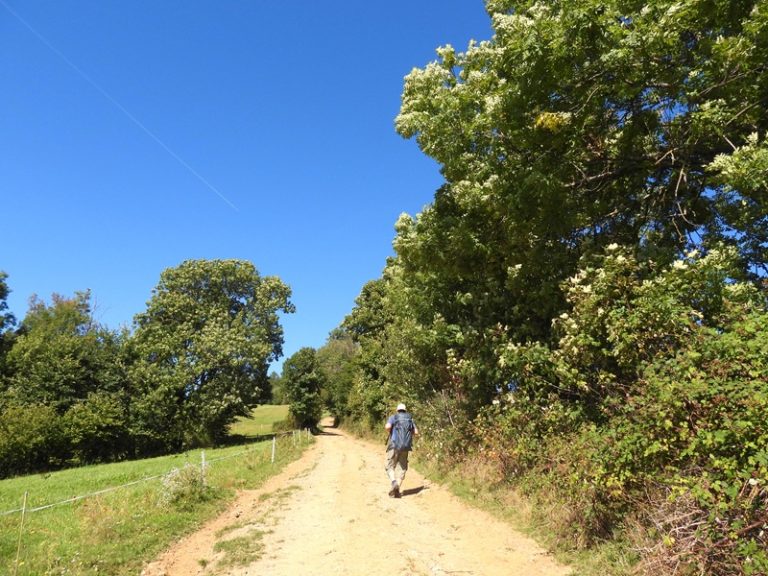 Friedberg quer (15)