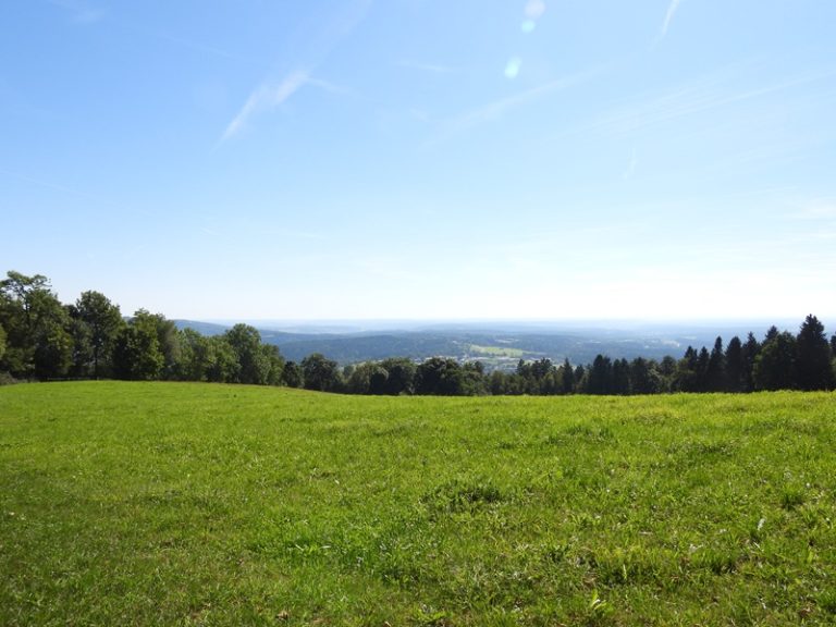 Friedberg quer (16)