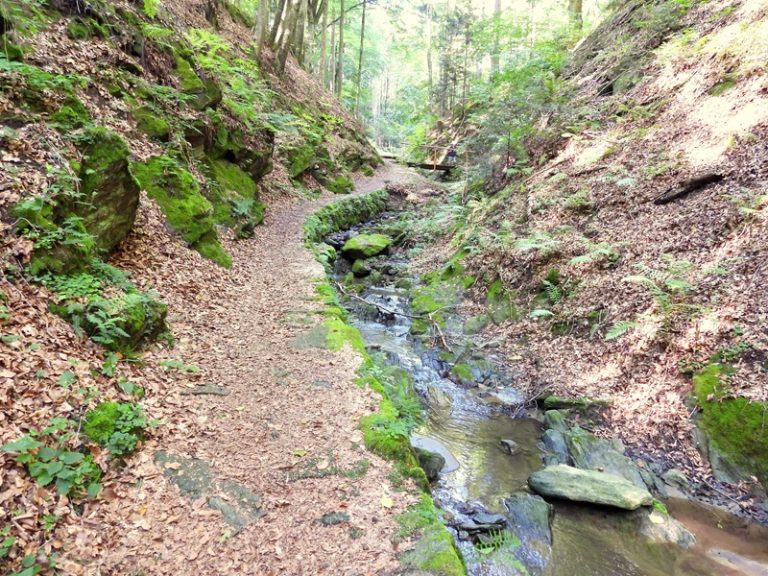 Friedberg quer (18)