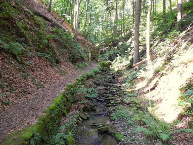 Friedberg quer (19)